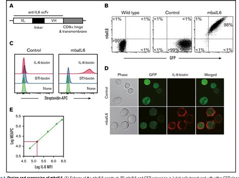 Chimeric antigen receptor–T cells with cytokine neutralizing capacity